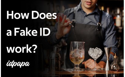 ✓ How Do Fake IDs Work?
