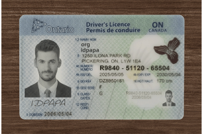 Ontario Fake ID (upgrade version) Ontario Fake ID (upgrade version)