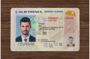 California Driver’s Licence (2026 Version)