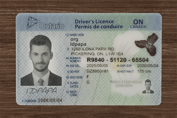 Ontario Fake ID (upgrade version)