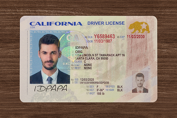 California Driver’s Licence (2026 Version) California Driver’s Licence (2026 Version)
